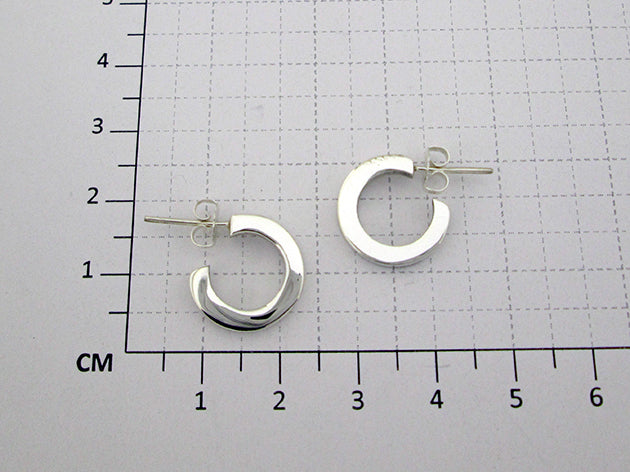 Sterling Silver Card-Boarded Smooth Round Arracadite Earrings
