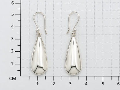 Sterling Silver Glossy Drop Earrings with Ring