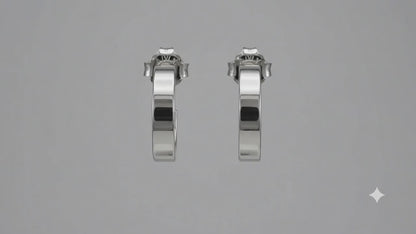 Sterling Silver Card-Boarded Smooth Round Arracadite Earrings